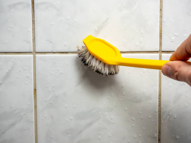 Best Home Mold Removal  in Garrett, TX