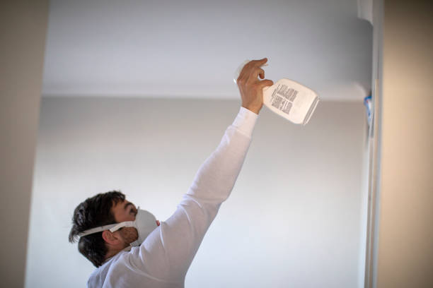 Best Crawl Space Mold Removal  in Garrett, TX