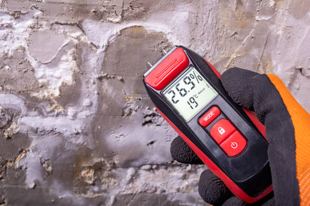 Best Mold Damage Repair  in Garrett, TX