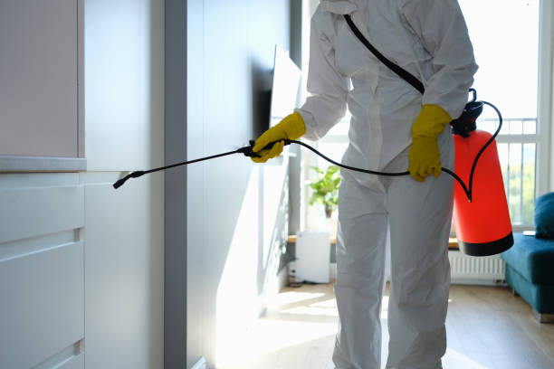 Best Mold Remediation Experts  in Garrett, TX