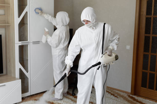 Reliable Garrett, TX Mold Removal Solutions